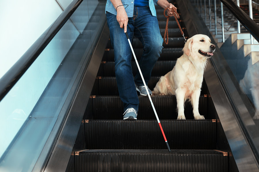 blind man with his dog on escalator 